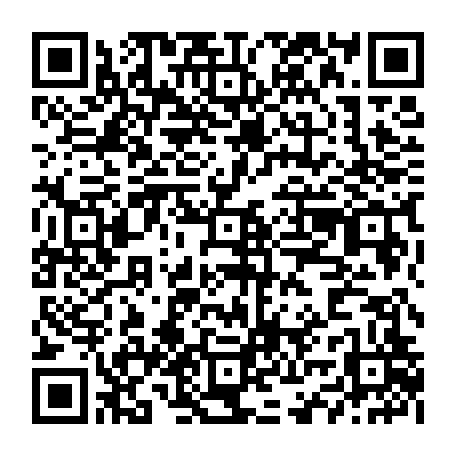 vCard 79234533335