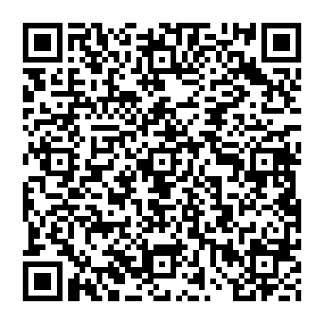 vCard 79234533348