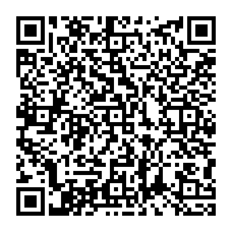 vCard 79234533355