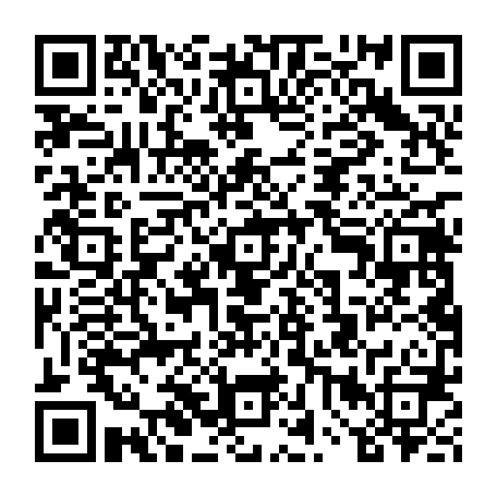 vCard 79234533370