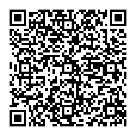 vCard 79234533376