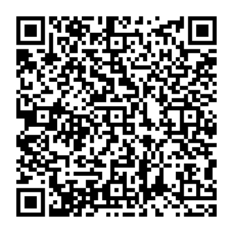 vCard 79234533381