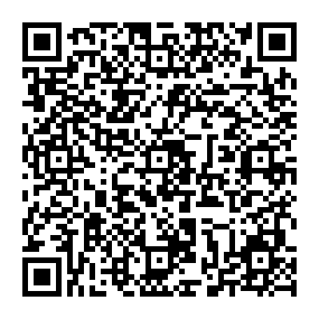 vCard 79234533384