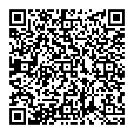 vCard 79234533385