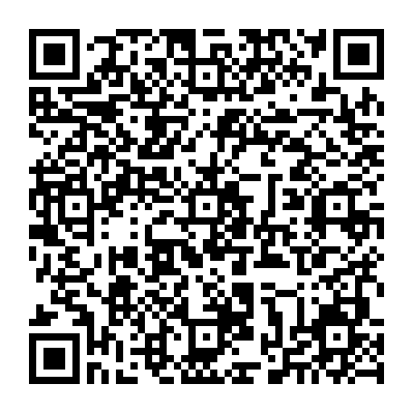 vCard 79234533388