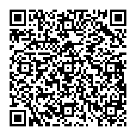 vCard 79234533460