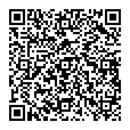 vCard 79234533478