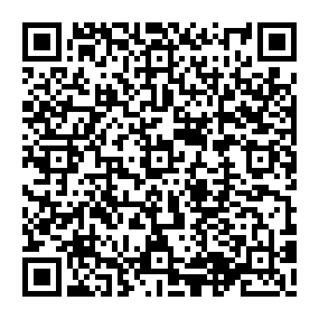 vCard 79234533503