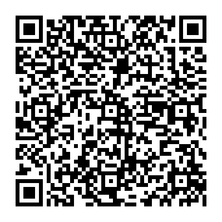 vCard 79234533525