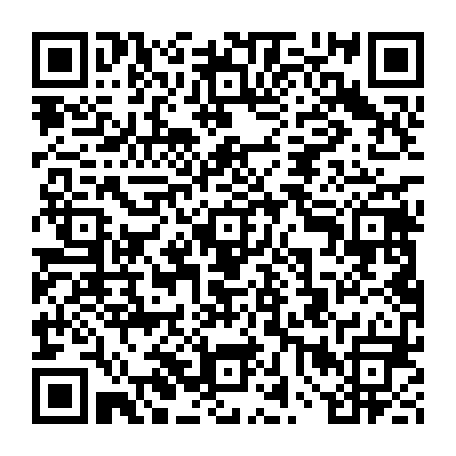 vCard 79234533581