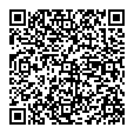 vCard 79234533603