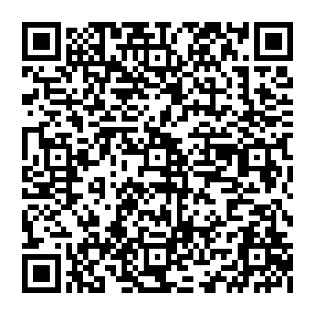 vCard 79234533629