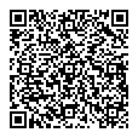 vCard 79234533633
