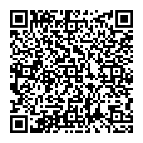 vCard 79234533651
