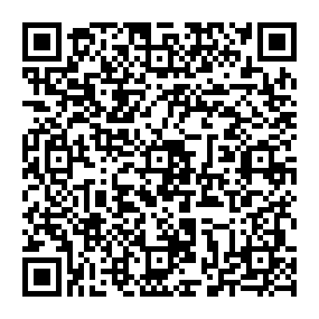 vCard 79234533653