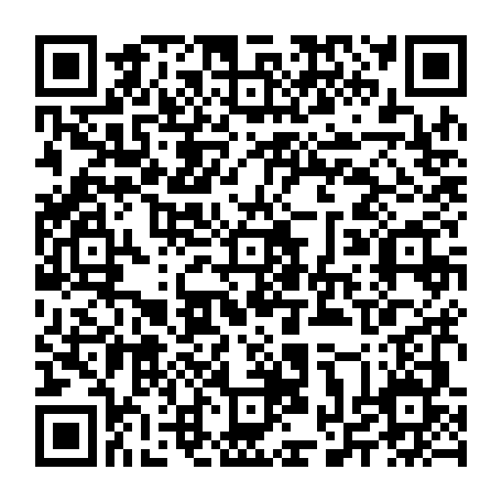 vCard 79234533666