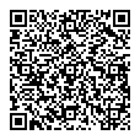 vCard 79234533681