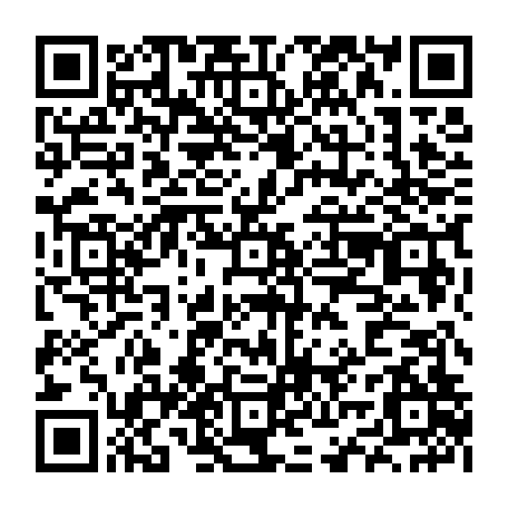 vCard 79234533696