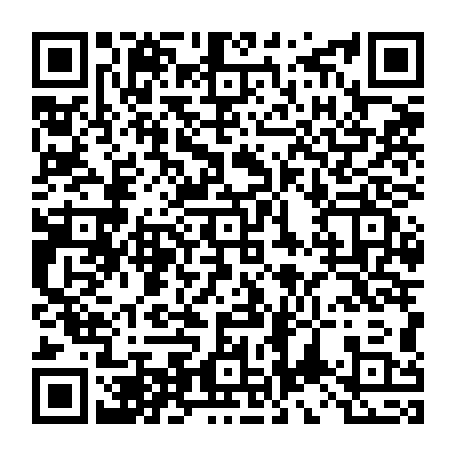 vCard 79234533703