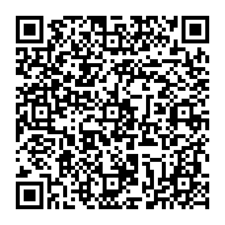 vCard 79234533724