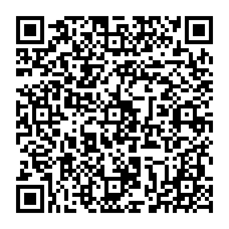 vCard 79234533728