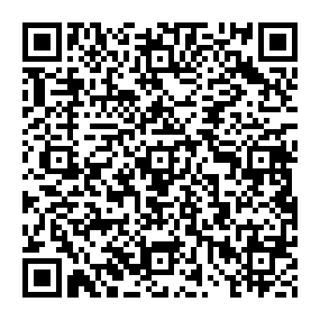 vCard 79234533741