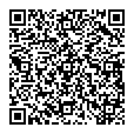 vCard 79234533751