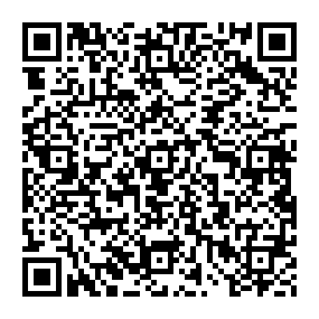 vCard 79234533774
