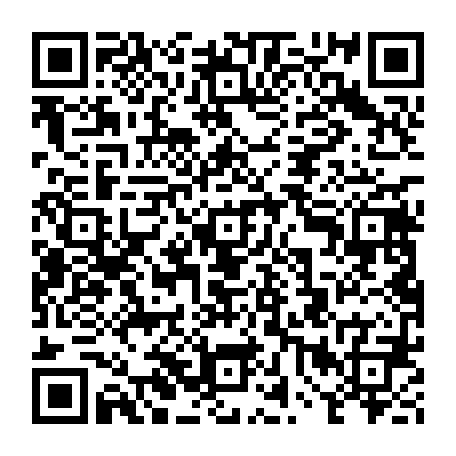 vCard 79234533776