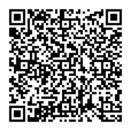 vCard 79234533778