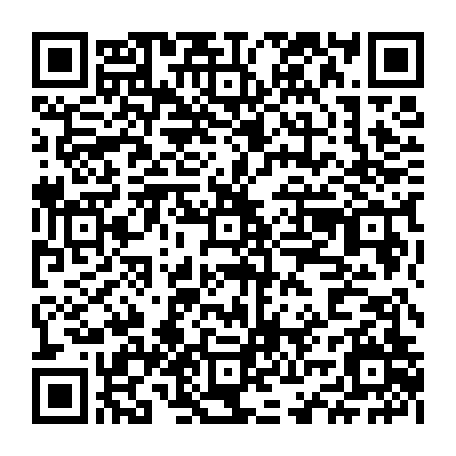 vCard 79234533792