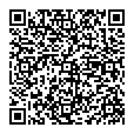 vCard 79234533799
