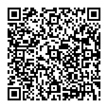 vCard 79234533801