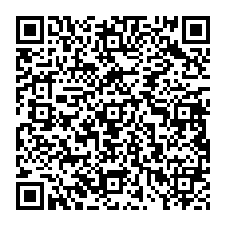 vCard 79234533808