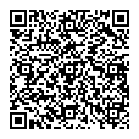 vCard 79234533813
