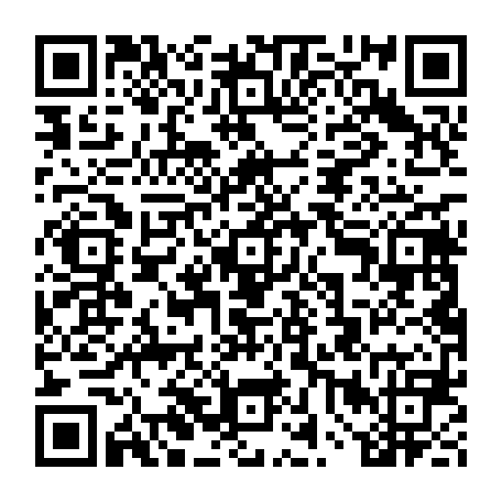 vCard 79234533819