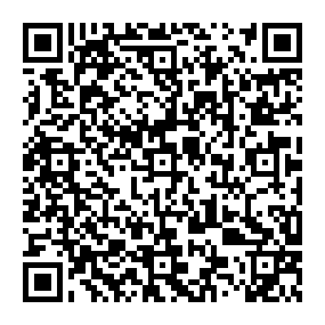 vCard 79234533825