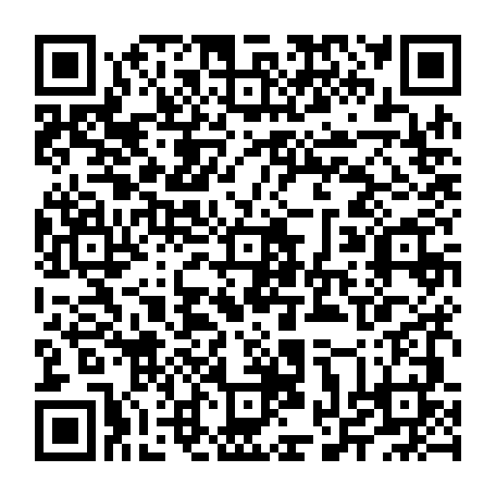 vCard 79234533835