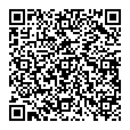 vCard 79234533845