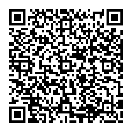 vCard 79234533853