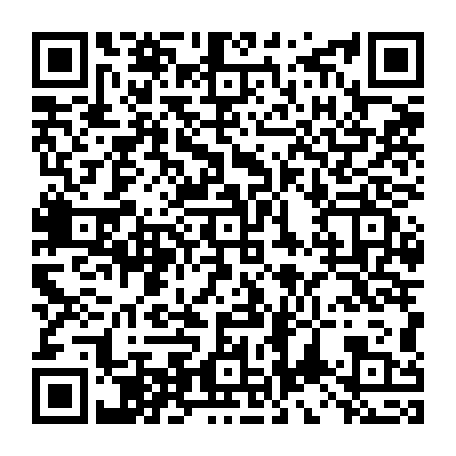 vCard 79234533855