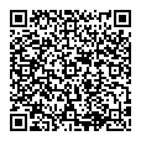 vCard 79234533867