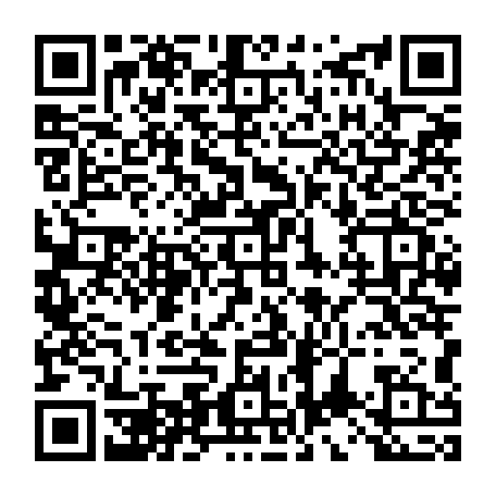 vCard 79234533871