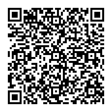 vCard 79234533872