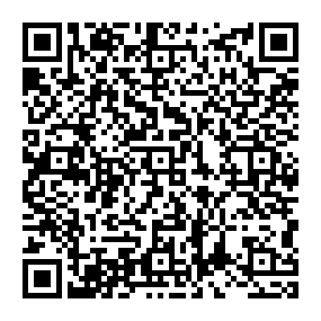 vCard 79234533873