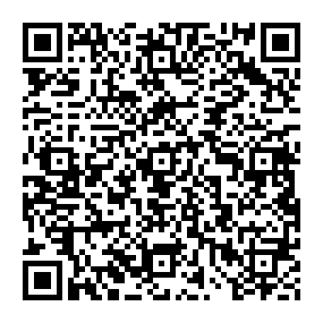 vCard 79234533874