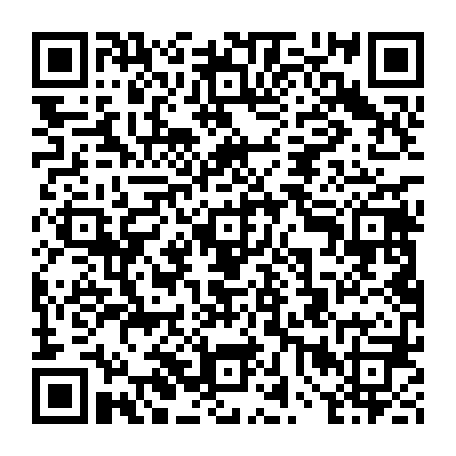 vCard 79234533893