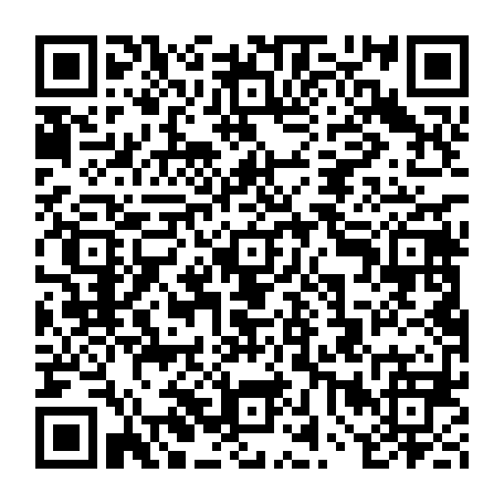 vCard 79234533900
