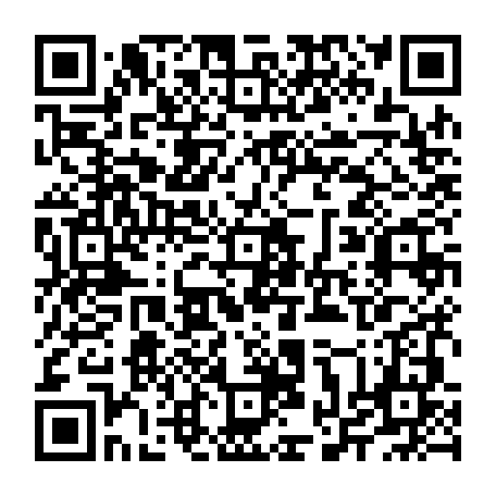 vCard 79234533903