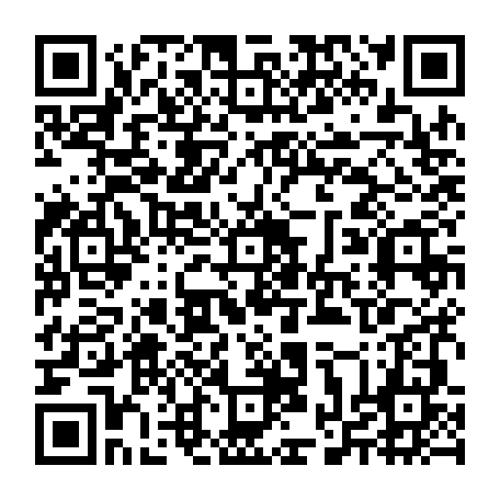 vCard 79234533904